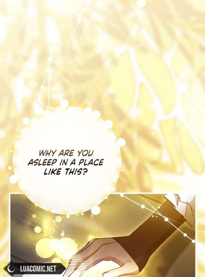 It’s My Destiny To Be The Hero’s Saviour Chapter 163 520 057