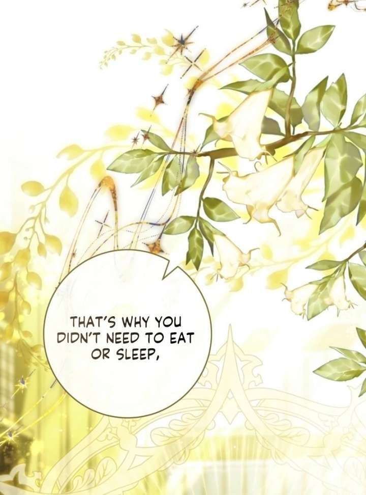 It’s My Destiny To Be The Hero’s Saviour Chapter 163 545 082