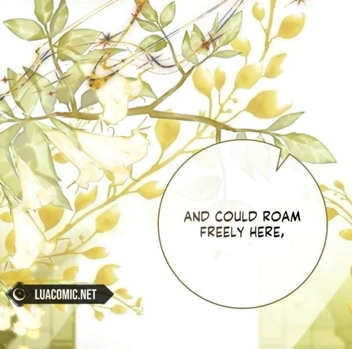 It’s My Destiny To Be The Hero’s Saviour Chapter 163 547 084