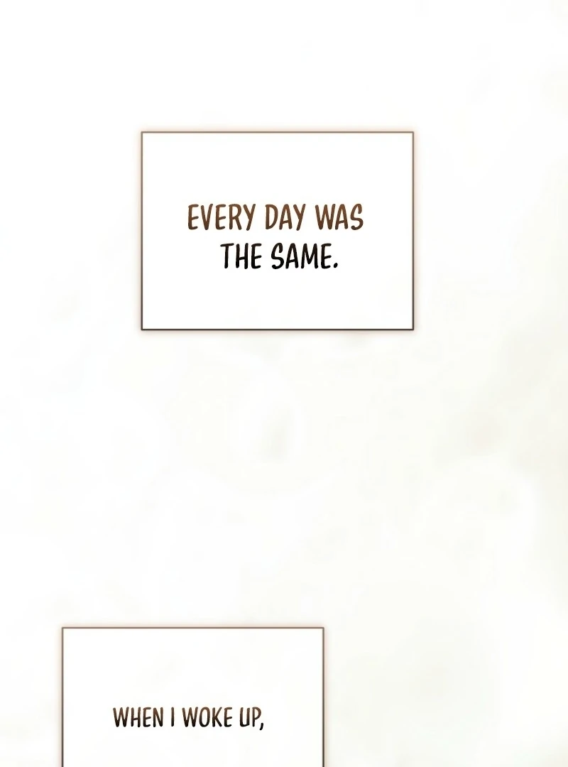 It’s My Destiny To Be The Hero’s Saviour Chapter 164 516 023