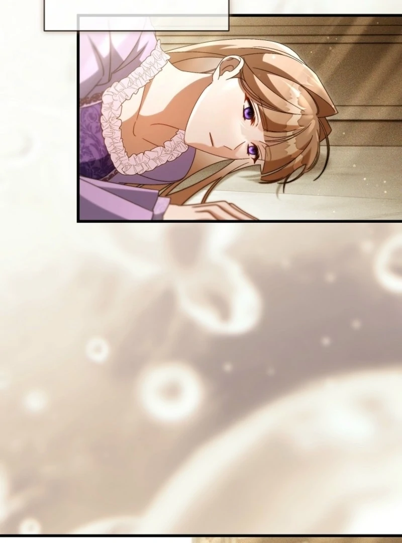 It’s My Destiny To Be The Hero’s Saviour Chapter 164 517 024