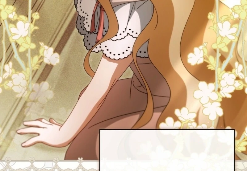 It’s My Destiny To Be The Hero’s Saviour Chapter 164 528 035