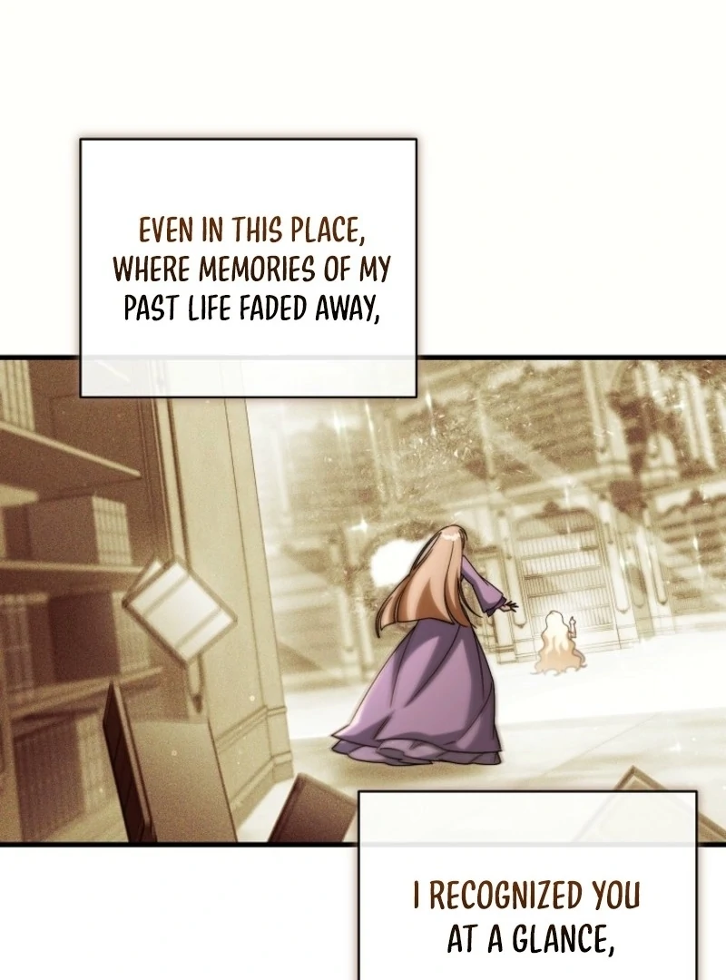 It’s My Destiny To Be The Hero’s Saviour Chapter 164 530 037