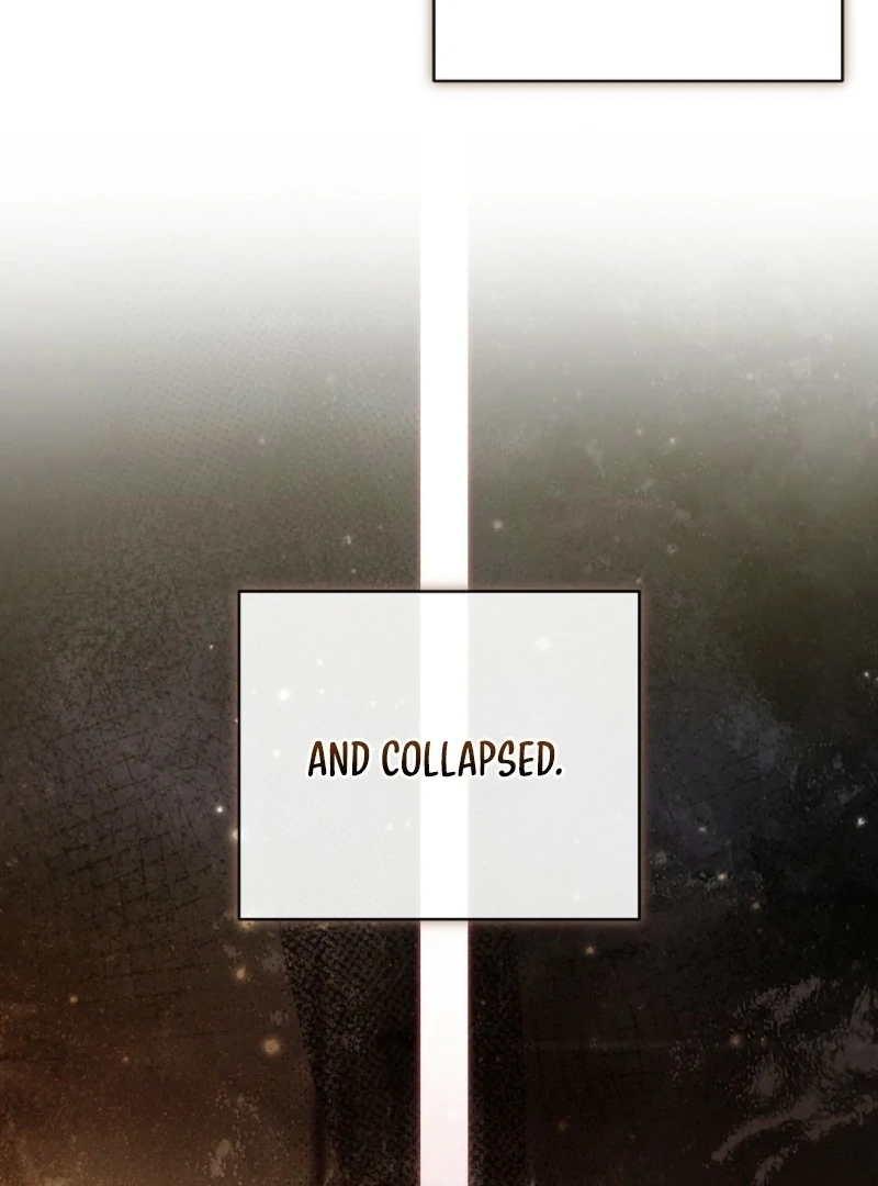 It’s My Destiny To Be The Hero’s Saviour Chapter 164 531 038