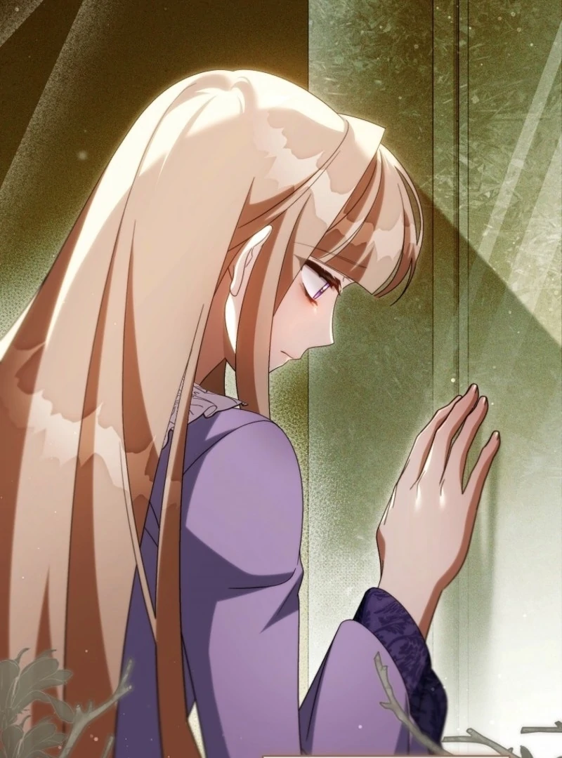 It’s My Destiny To Be The Hero’s Saviour Chapter 164 557 064