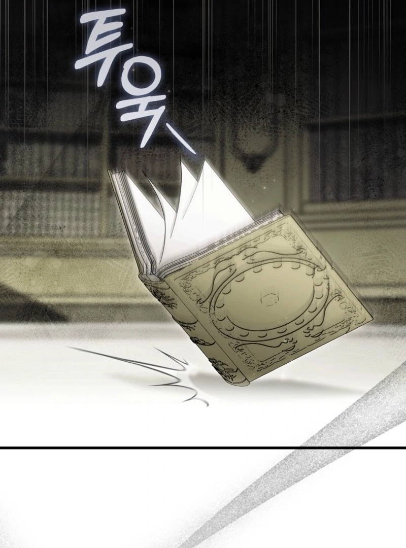 It’s My Destiny To Be The Hero’s Saviour Chapter 164 603 110