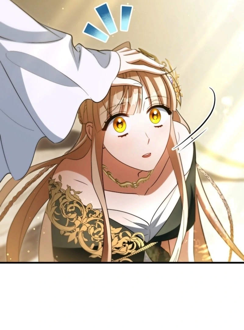 It’s My Destiny To Be The Hero’s Saviour Chapter 164 643 150