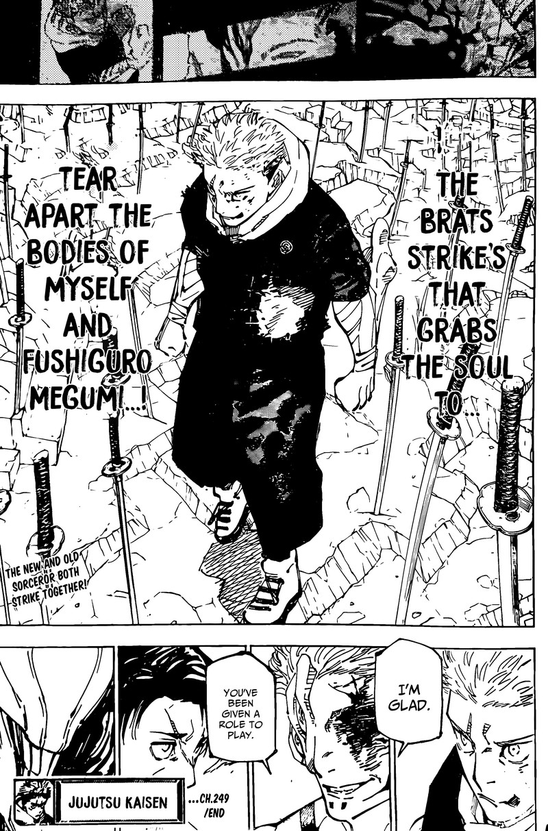 jujutsu kaisen 249 17