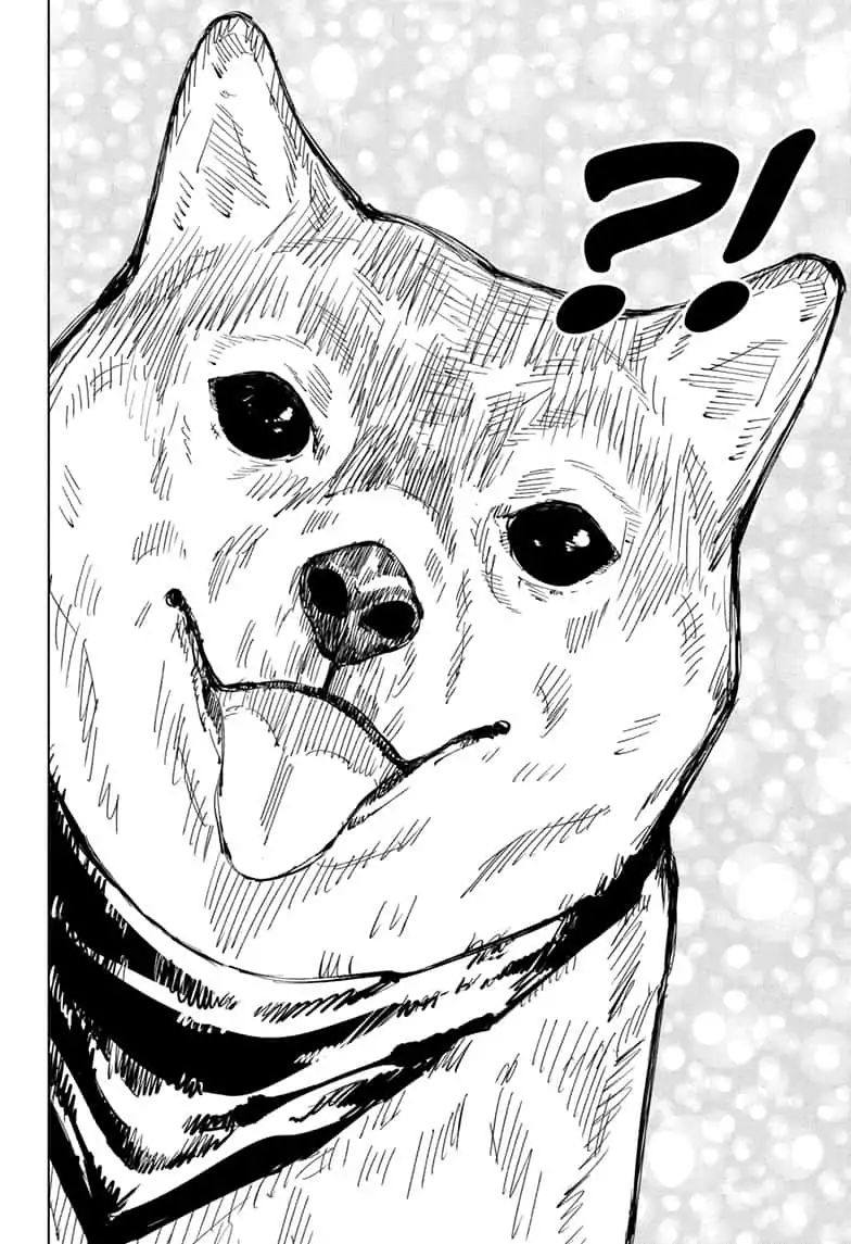 jujutsu kaisen 68 12