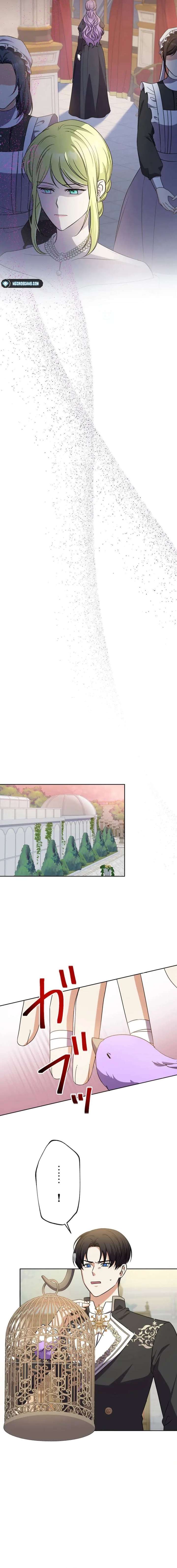 Leaving for My Younger Husband’s Future: A Divorce Decision Chapter 38 79 009