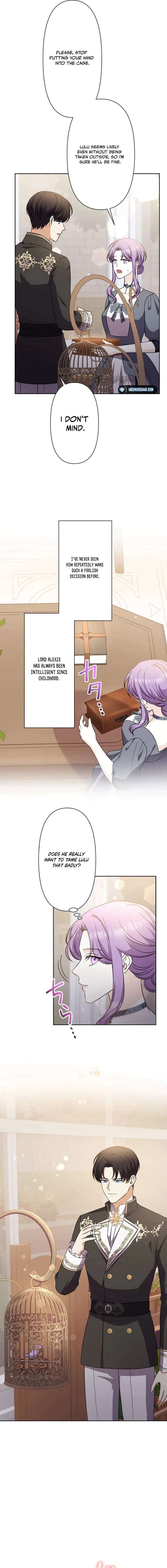 Leaving for My Younger Husband’s Future: A Divorce Decision Chapter 38 81 011