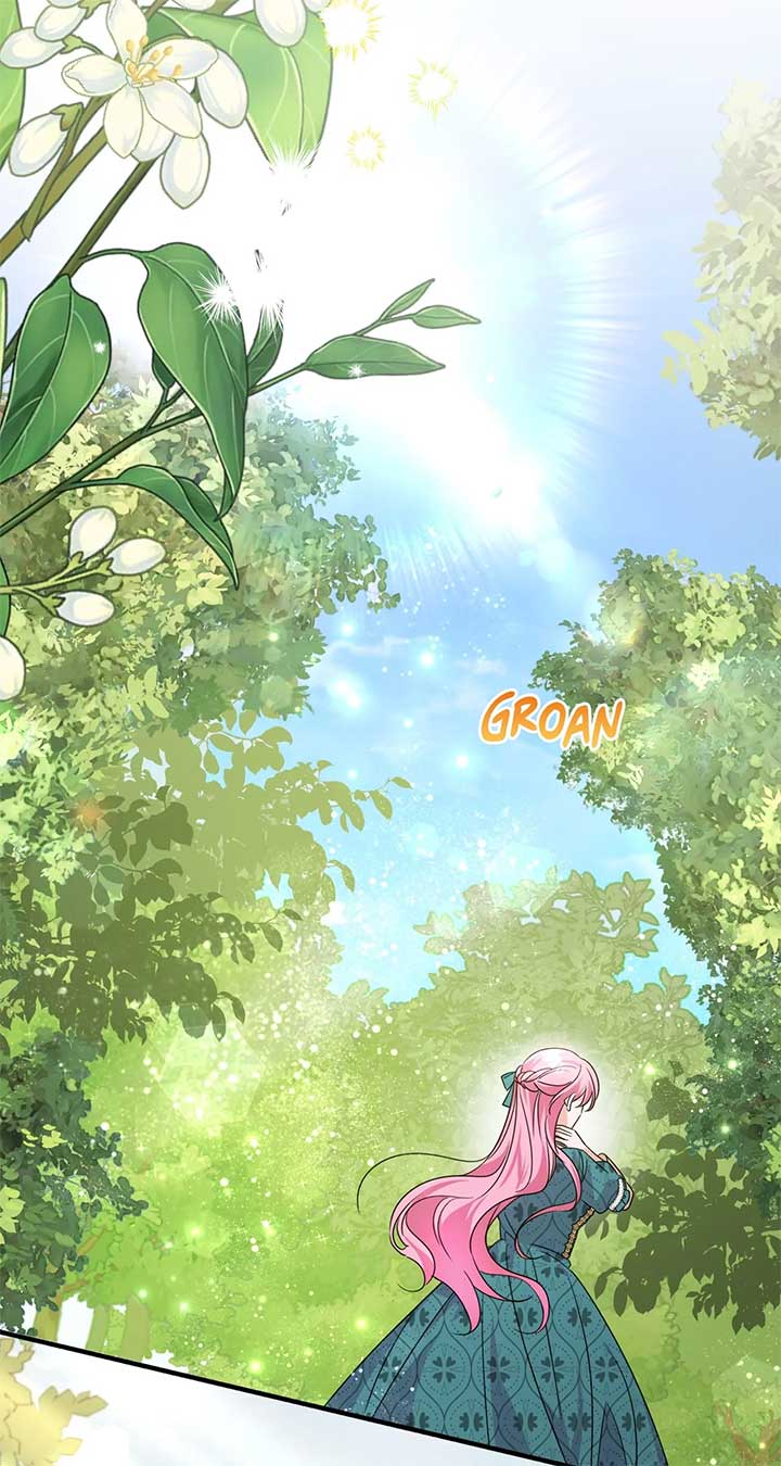 Let Me Enjoy the Extra Life Chapter 13 463 ch 13 96