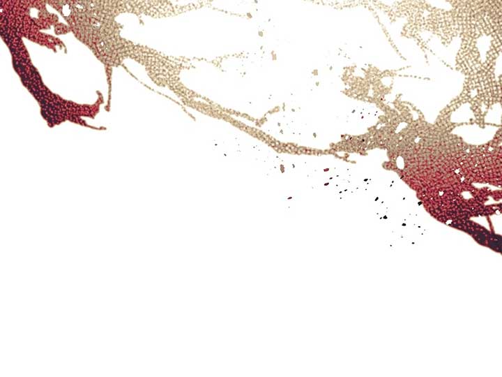 Let Me Enjoy the Extra Life Chapter 15 436 ch 15 42