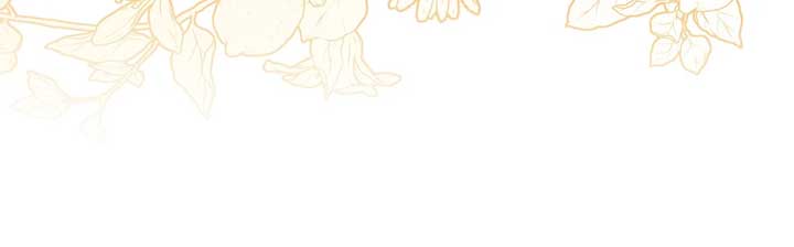 Let Me Enjoy the Extra Life Chapter 37 463 087