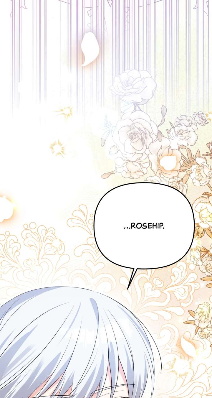 Let Me Enjoy the Extra Life Chapter 41 381 023