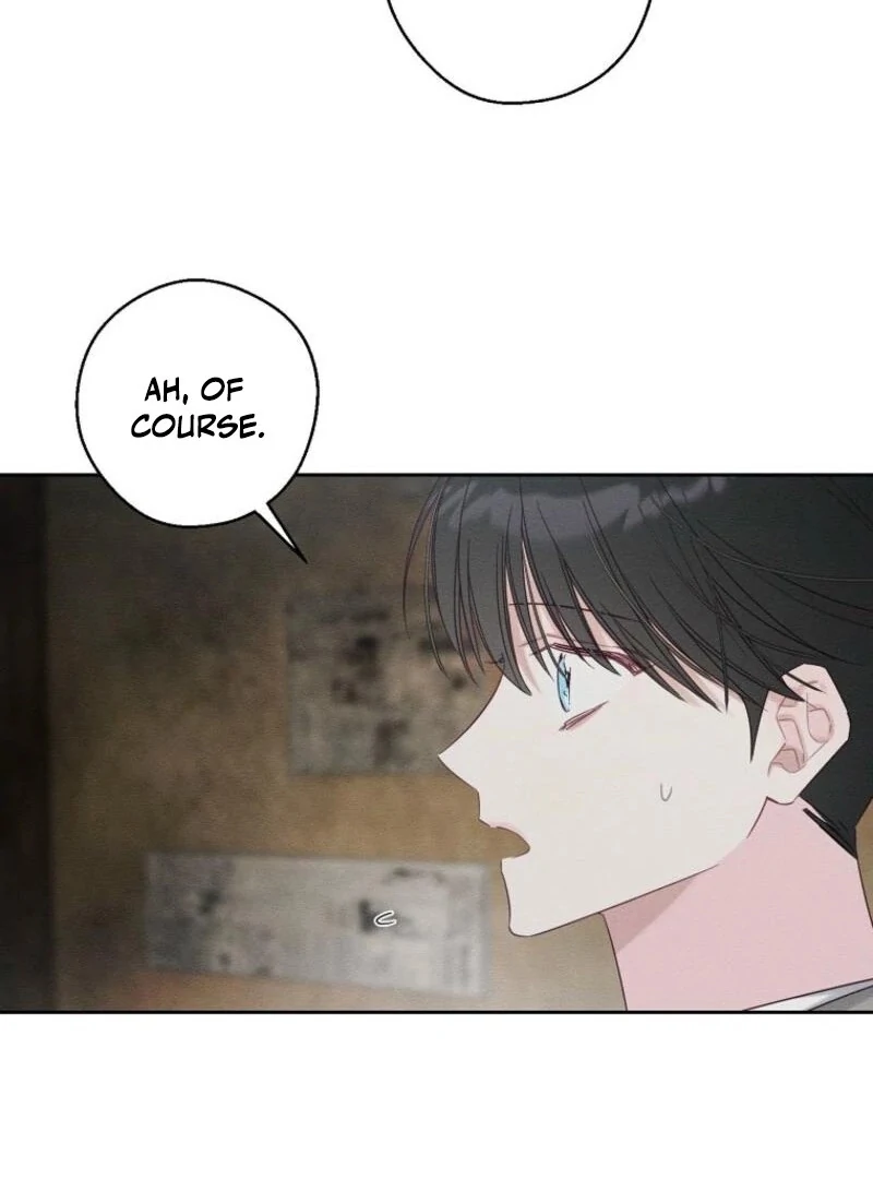 Let’s Hide My Younger Brother First Chapter 100 288 32