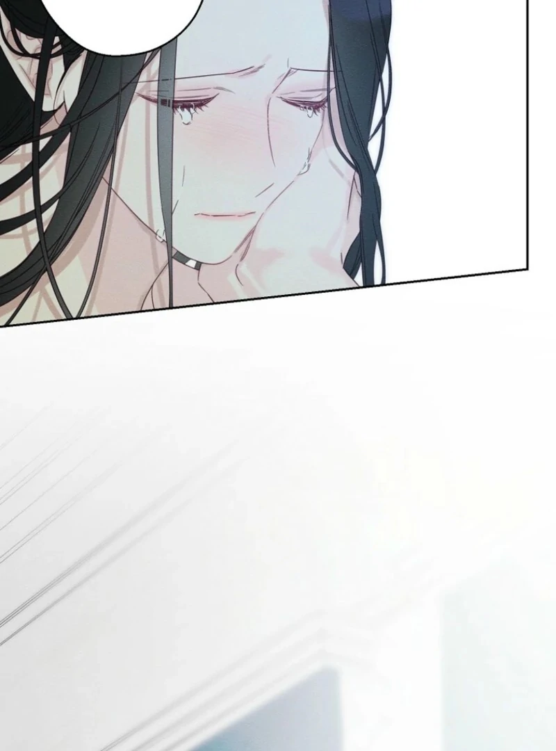 Let’s Hide My Younger Brother First Chapter 101 350 52