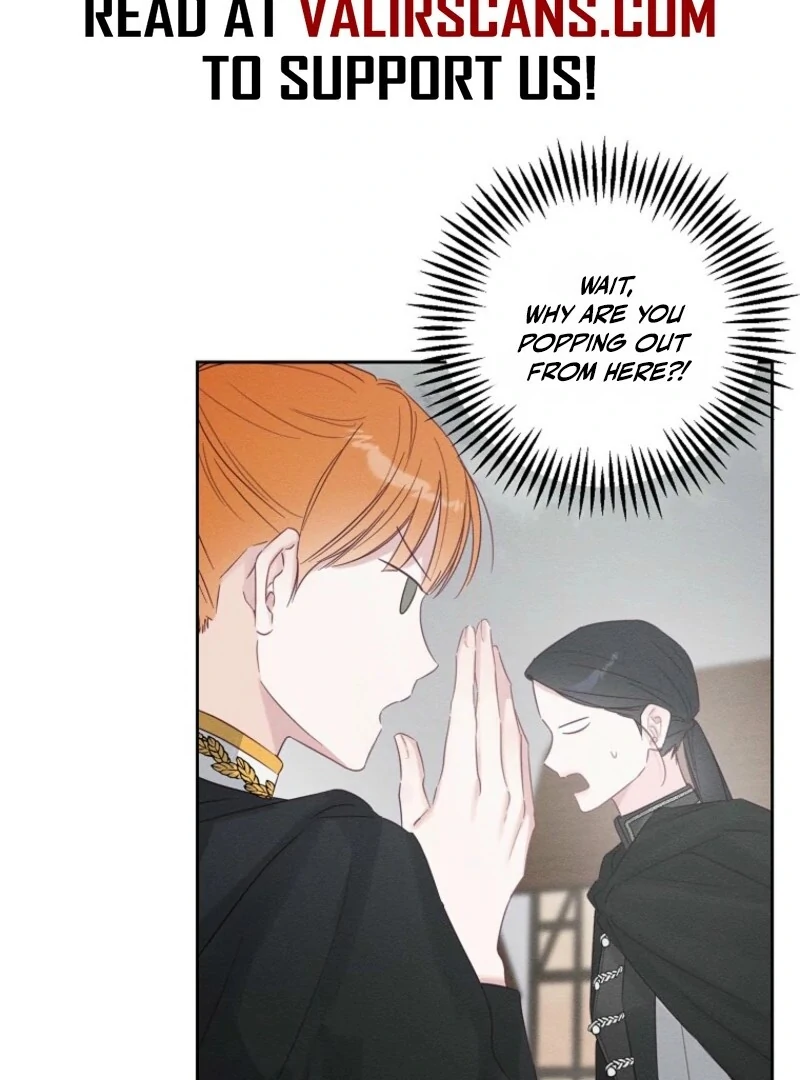 Let’s Hide My Younger Brother First Chapter 102 389 058