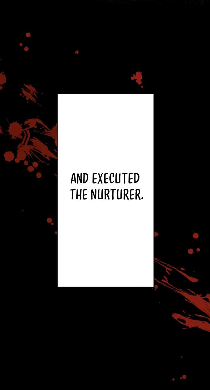 Let’s raise a witch who will destroy the world Chapter 13 251 13