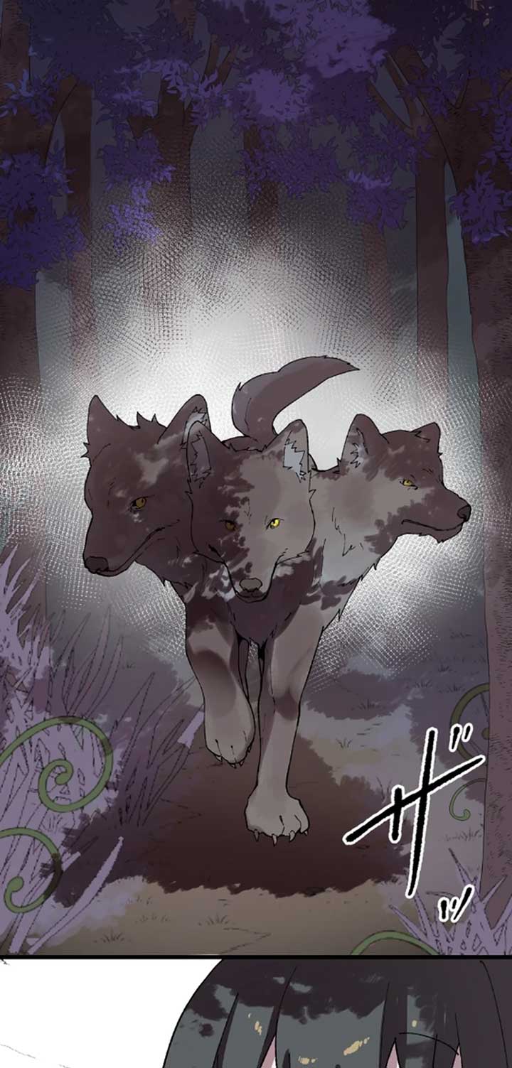 Let’s raise a witch who will destroy the world Chapter 13 285 47