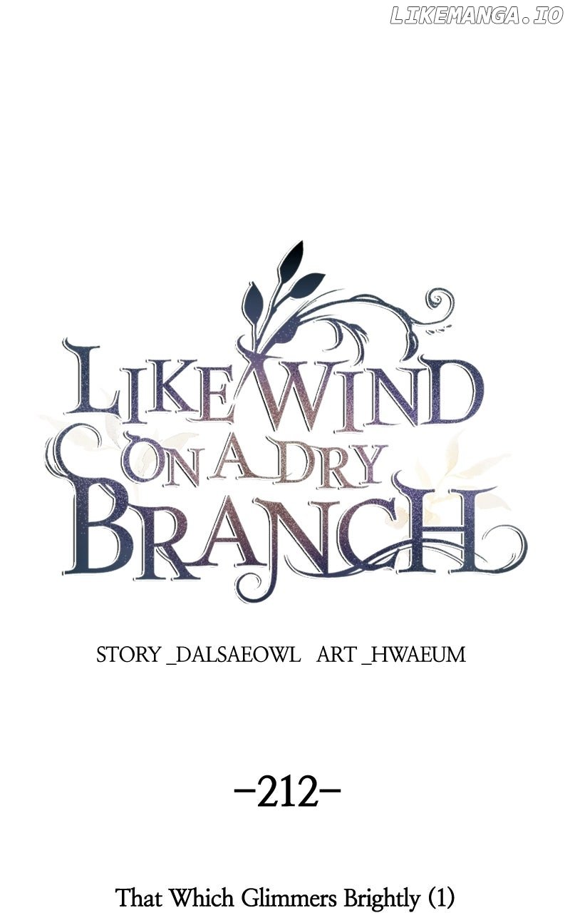Like A Wind On A Dry Branch Chapter 212 314 ch 212 1