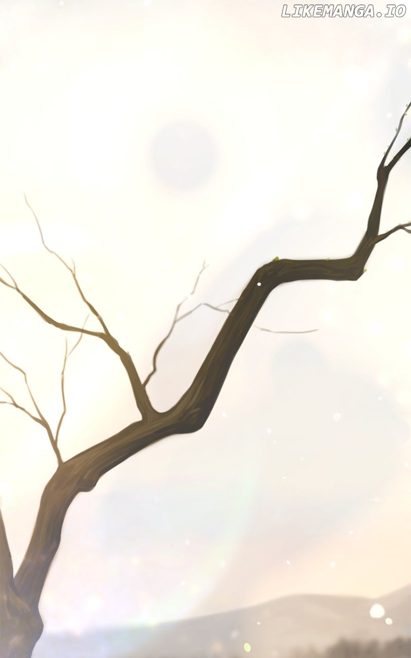 Like A Wind On A Dry Branch Chapter 212 356 ch 212 43