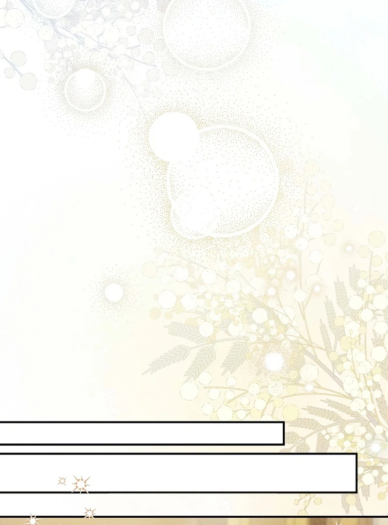 Lily Bush’s Substitute Marriage Chapter 16 407 ch 16 31