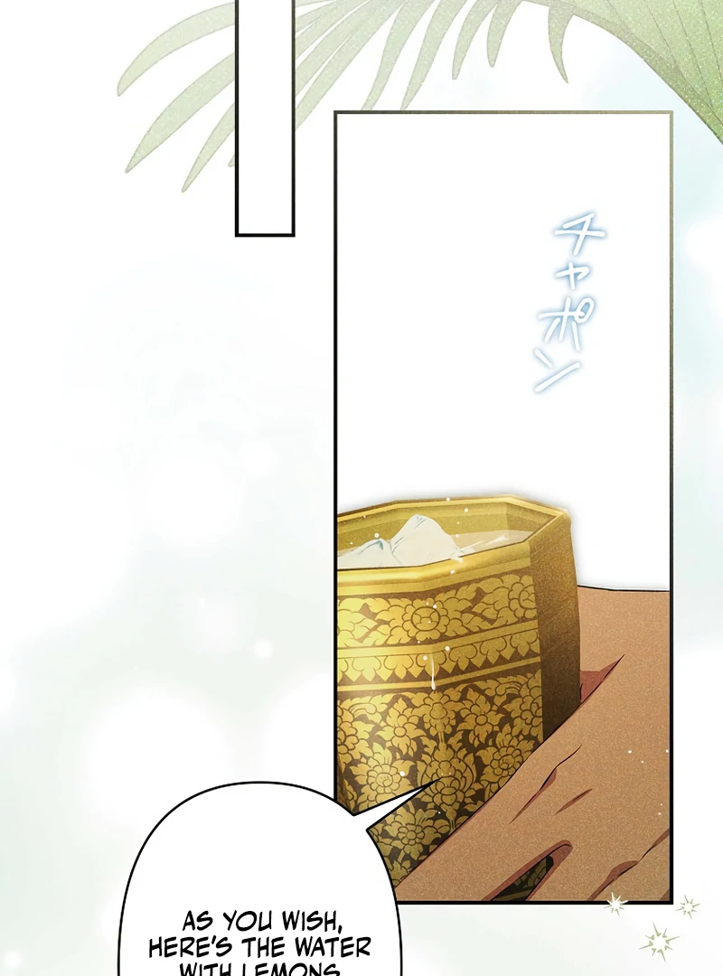 Lily Bush’s Substitute Marriage Chapter 16 382 ch 16 6