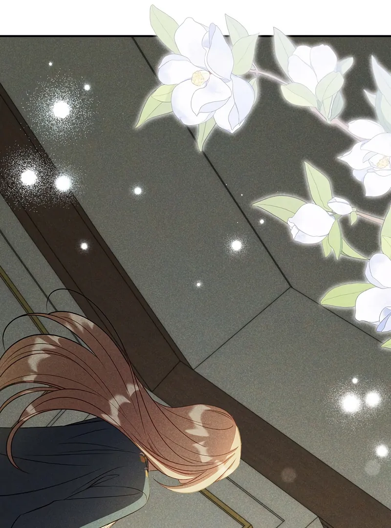 Lily Bush’s Substitute Marriage Chapter 16 456 ch 16 80