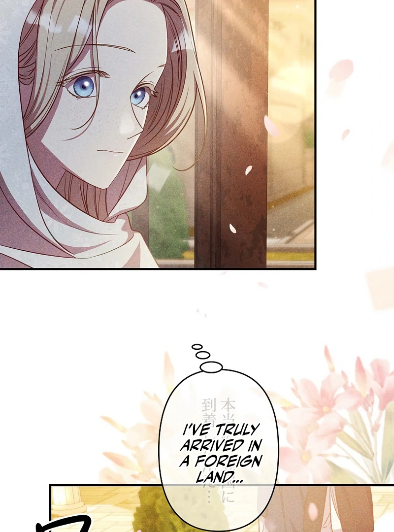 Lily Bush’s Substitute Marriage Chapter 20 373 ch 20 18