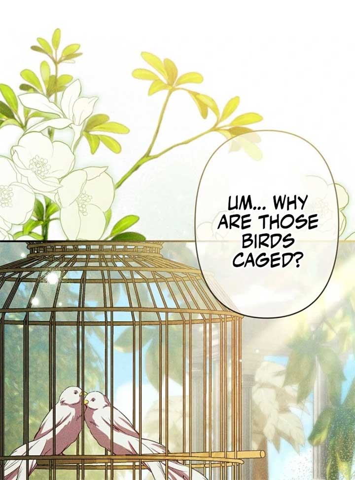 Lily Bush’s Substitute Marriage Chapter 24 453 ch 24 95