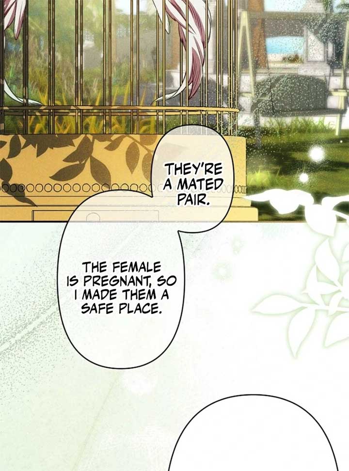 Lily Bush’s Substitute Marriage Chapter 24 454 ch 24 96