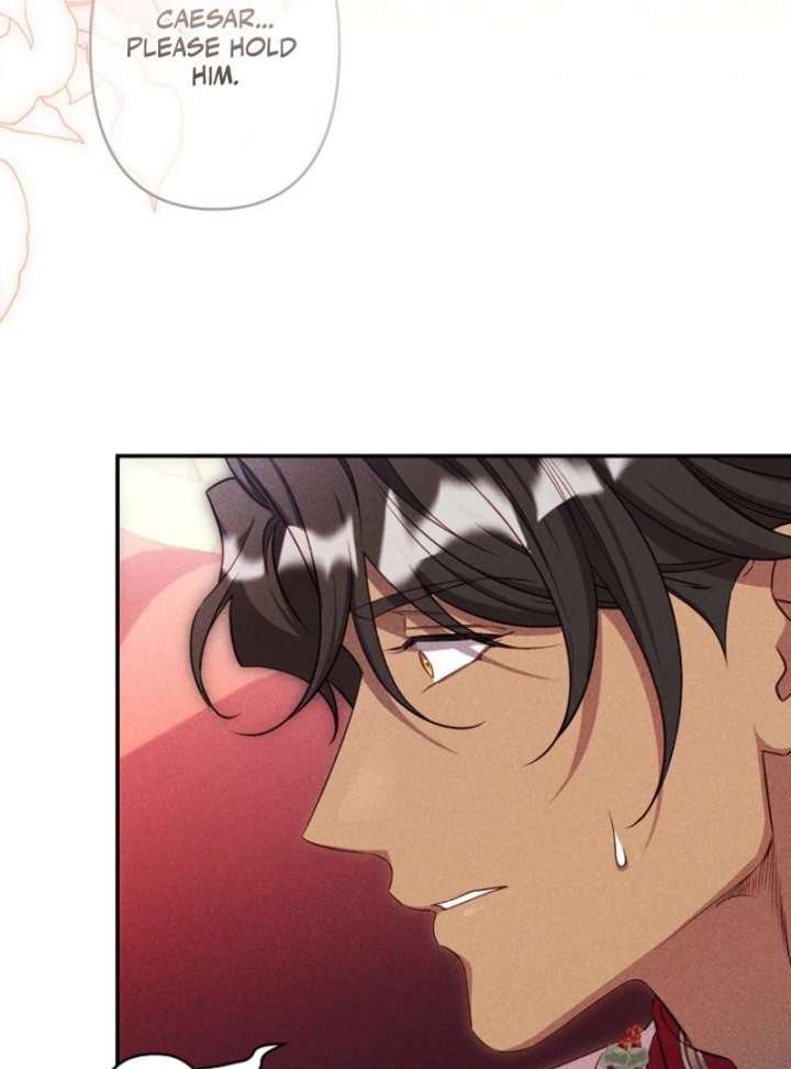 Lily Bush’s Substitute Marriage Chapter 40 374 031