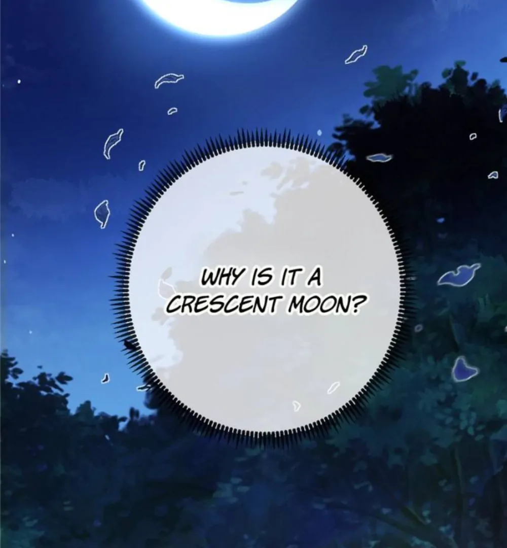 Love Under the Full Moon Chapter 1 347 46