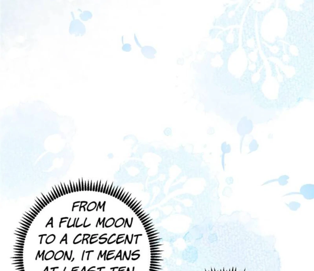 Love Under the Full Moon Chapter 2 247 27