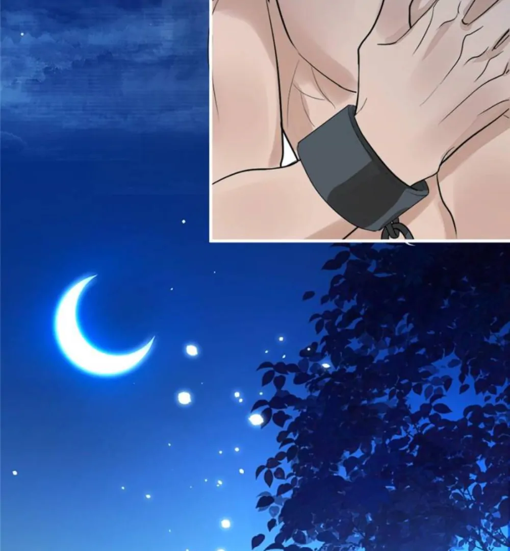 Love Under the Full Moon Chapter 2 287 67