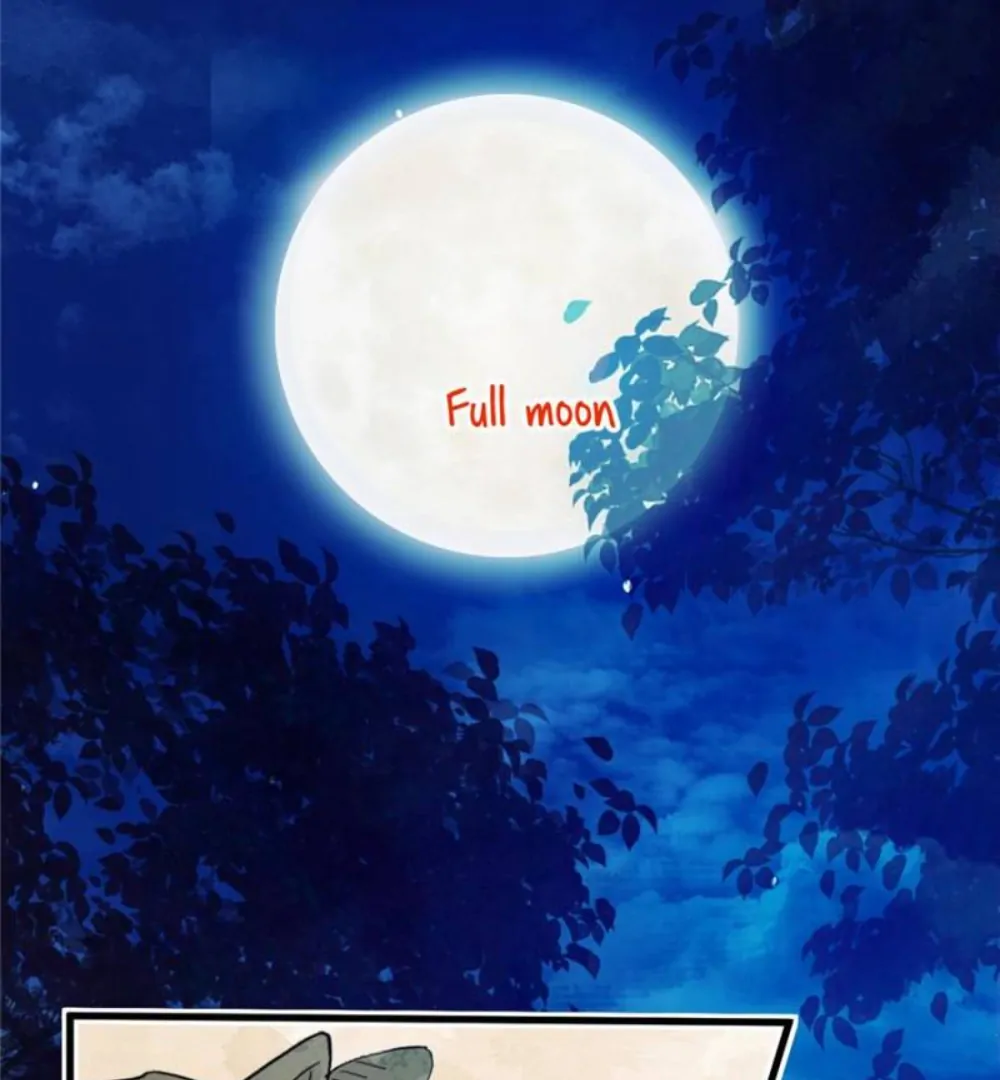 Love Under the Full Moon Chapter 4 306 71