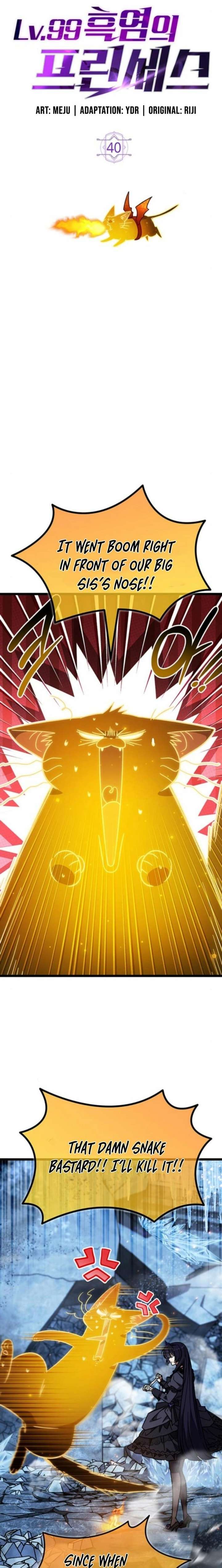 LV. 99 The Princess of Dark Flare Chapter 40 95 007