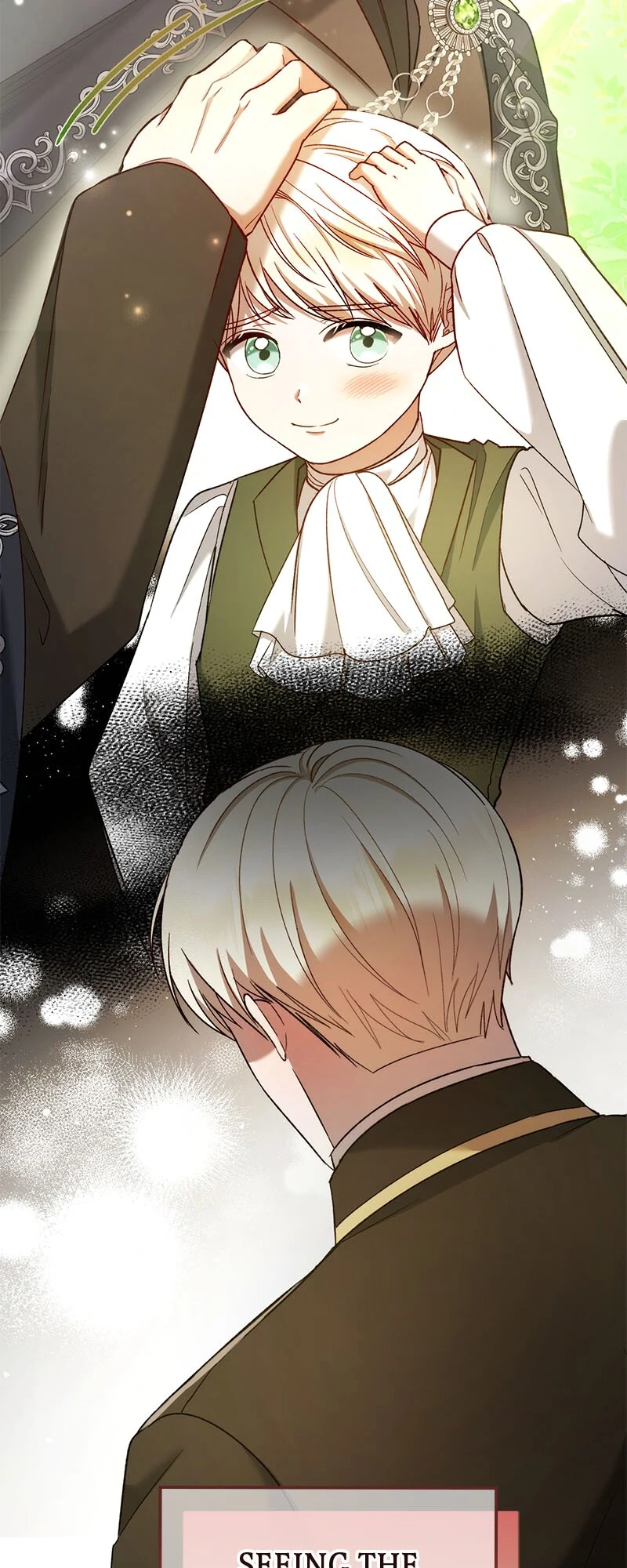 Marriage of Convenience to an Obsession Chapter 46 228 50