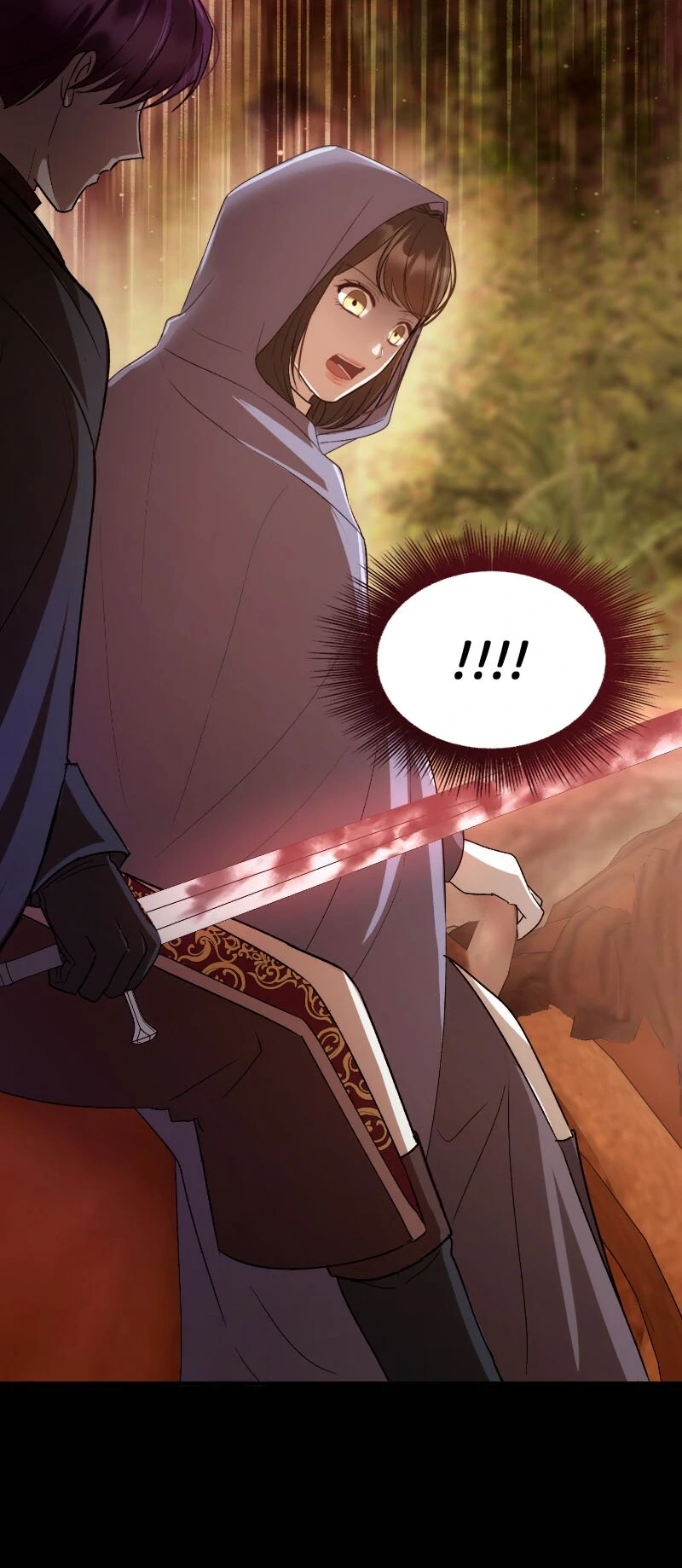 Marriage of Convenience to an Obsession Chapter 54 206 28