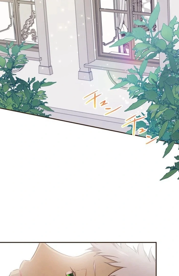 Masked Knight Will Never Deceive The Villainess Chapter 14 417 ch 14 86