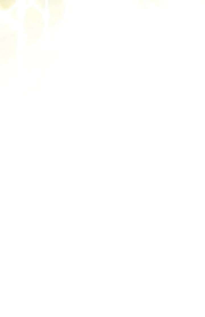 Masked Knight Will Never Deceive The Villainess Chapter 36 312 11