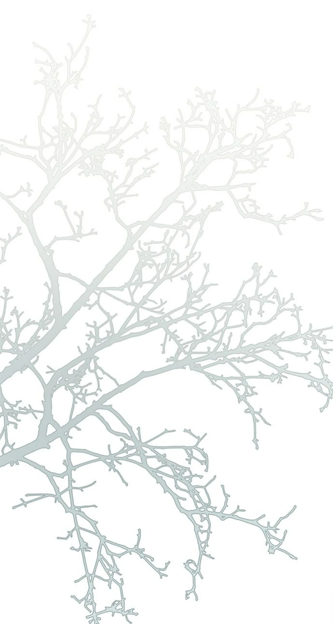 Monster Duke’s Daughter Chapter 185 293 16