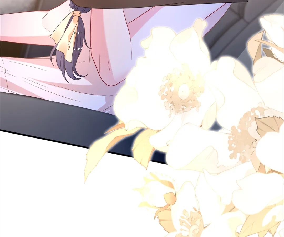 Mr. Qiao, Madam Is Spoiled by You Chapter 54 256 24