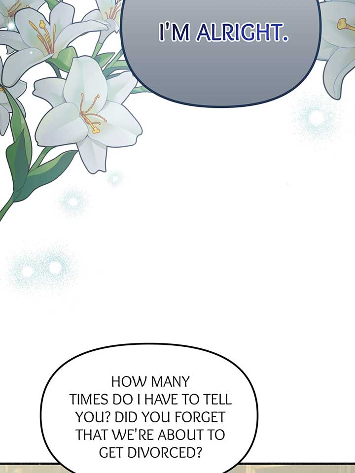 My Angelic Husband is actually a Devil in Disguise Chapter 96 516 ch 96 104