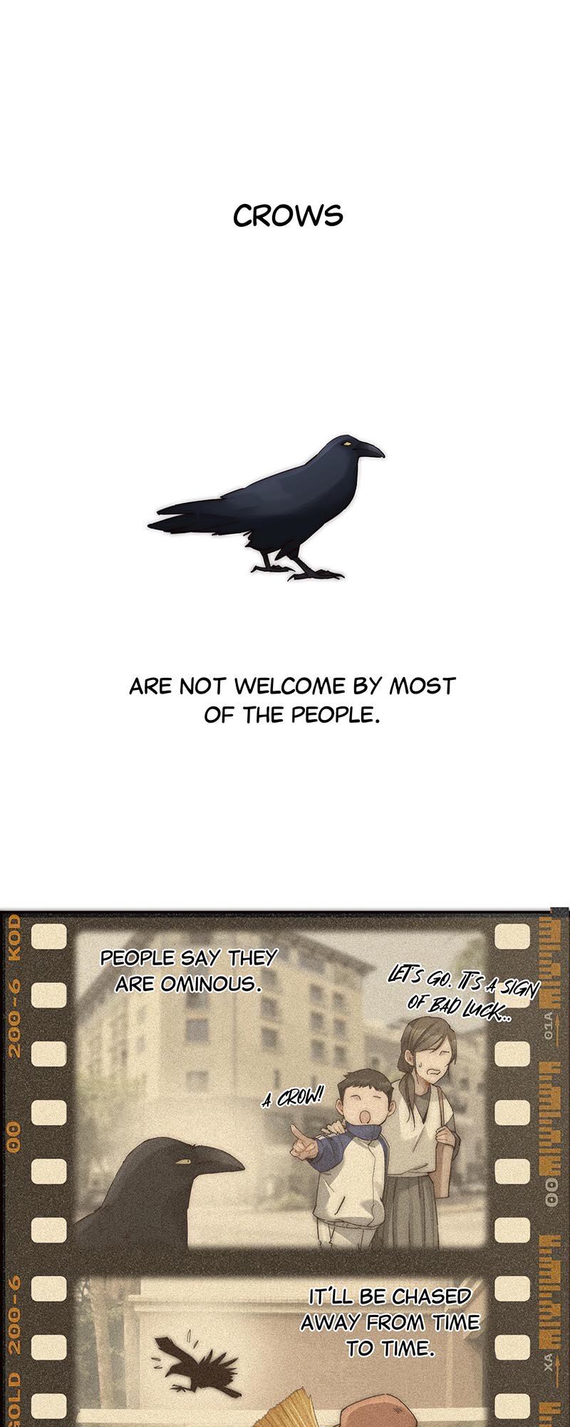 My Benefactor Is Not a Scholar Chapter 38 113 ch 38 1