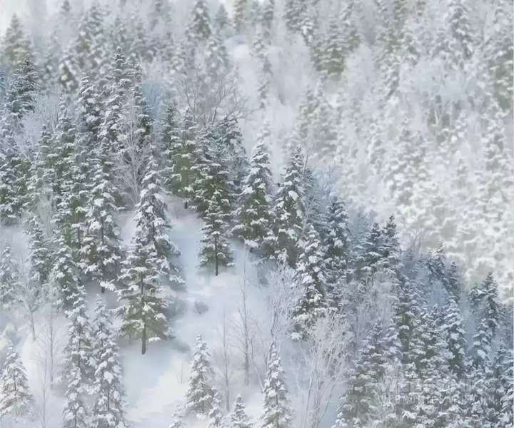 My Benefactor Is Not a Scholar Chapter 94 883 123