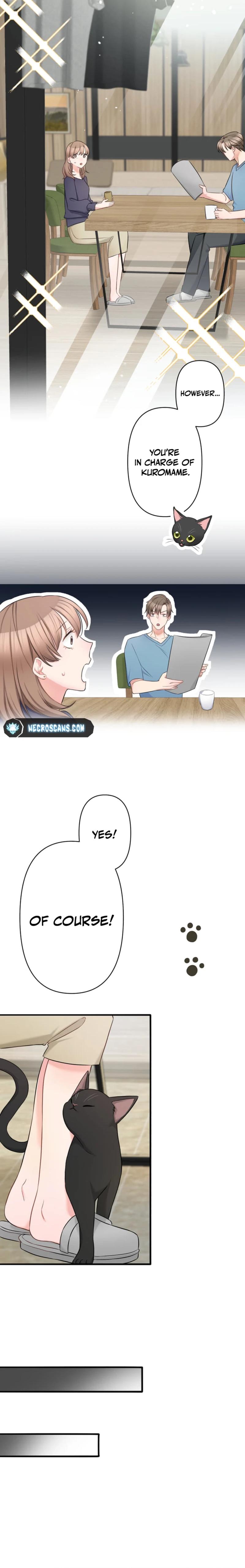 My Boss, the Ideal Man, Dotes on Me Chapter 3 70 ch 3 6