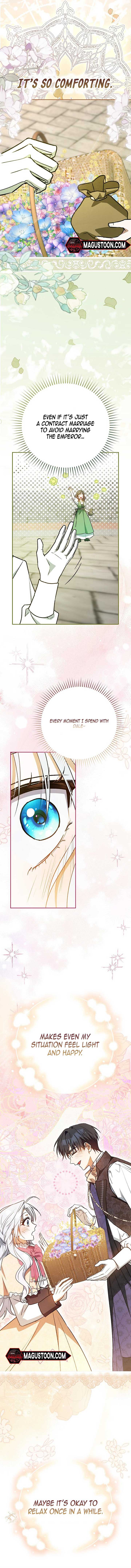 My Contract Husband Resembles the Male Protagonist Chapter 12 66 ch 12 8