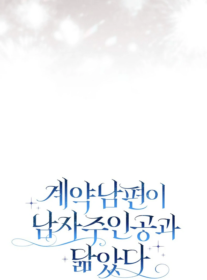 My Contract Husband Resembles the Male Protagonist Chapter 13 443 ch 13 25